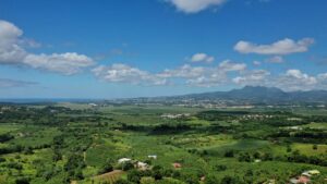 Vue aérienne Pions Carbet depuis Terre et Passion