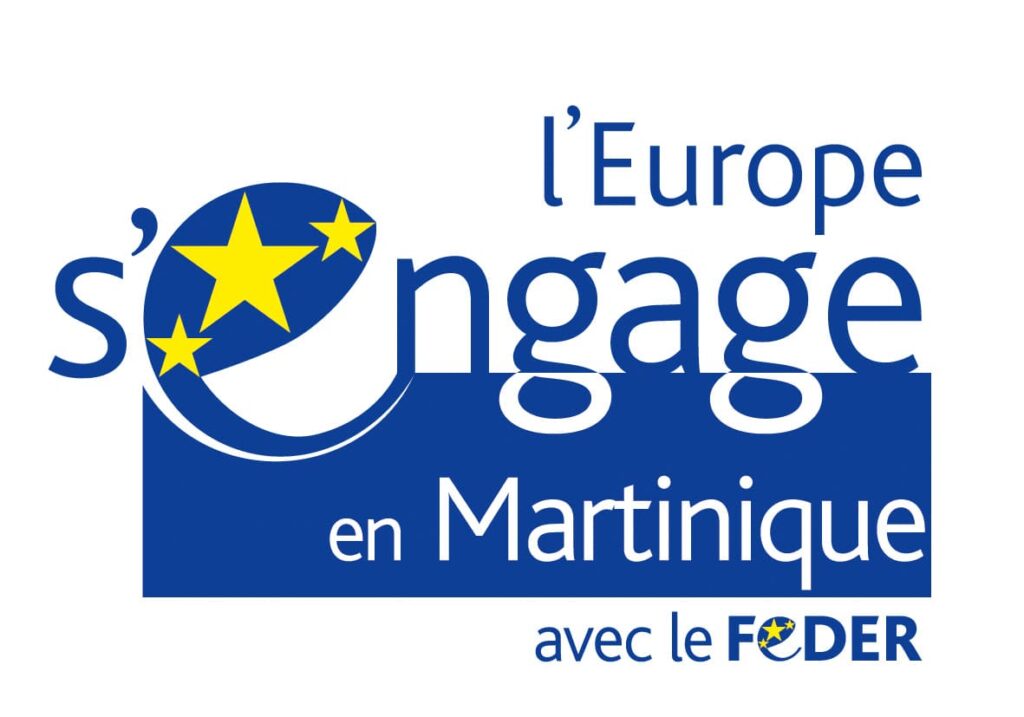 Logo - FEDER Europe